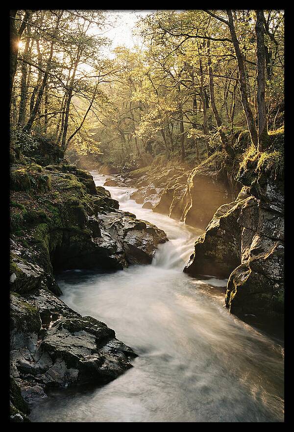 Serenity Of Vintgar Gorge