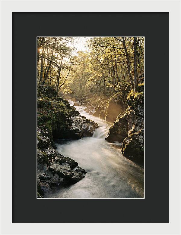 Serenity Of Vintgar Gorge