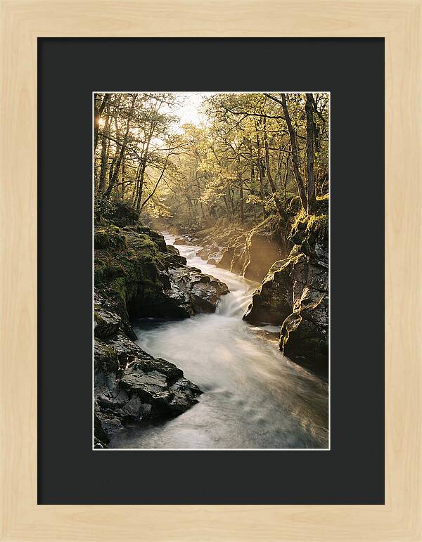 Serenity Of Vintgar Gorge