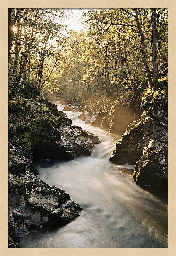 Serenity Of Vintgar Gorge