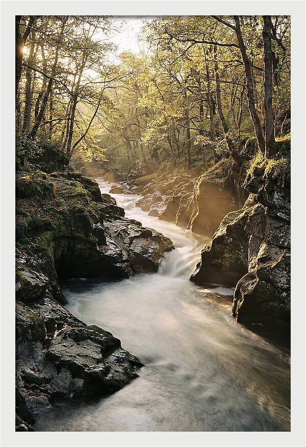 Serenity Of Vintgar Gorge