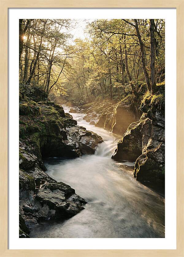 Serenity Of Vintgar Gorge