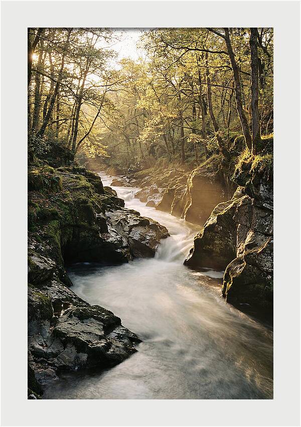 Serenity Of Vintgar Gorge