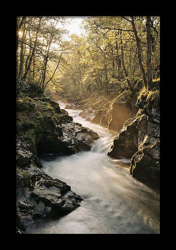 Serenity Of Vintgar Gorge