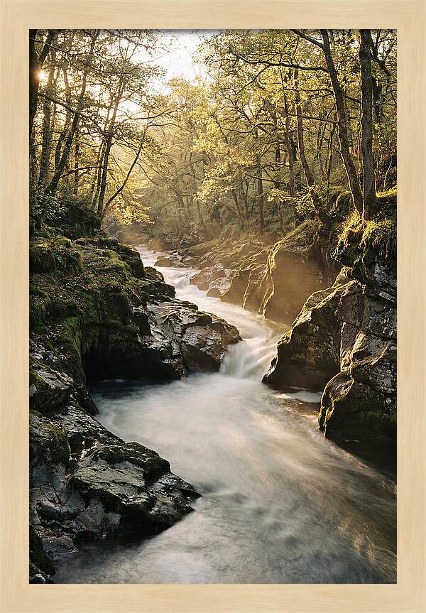 Serenity Of Vintgar Gorge