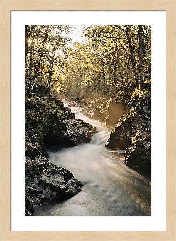 Serenity Of Vintgar Gorge