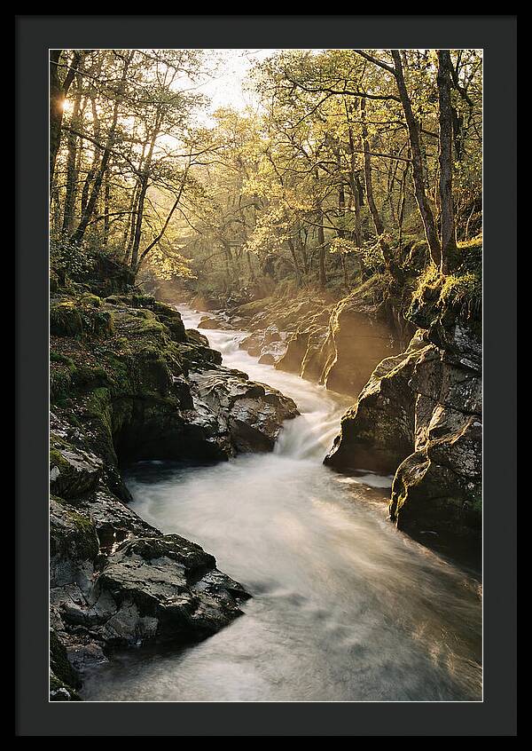 Serenity Of Vintgar Gorge