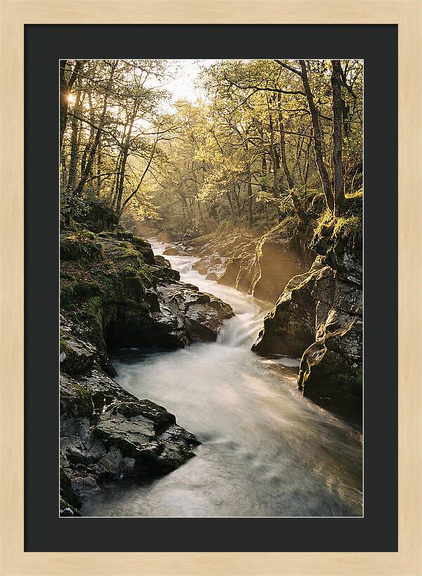 Serenity Of Vintgar Gorge