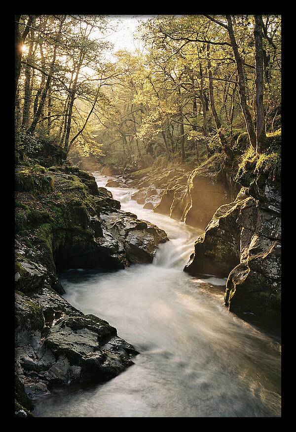 Serenity Of Vintgar Gorge