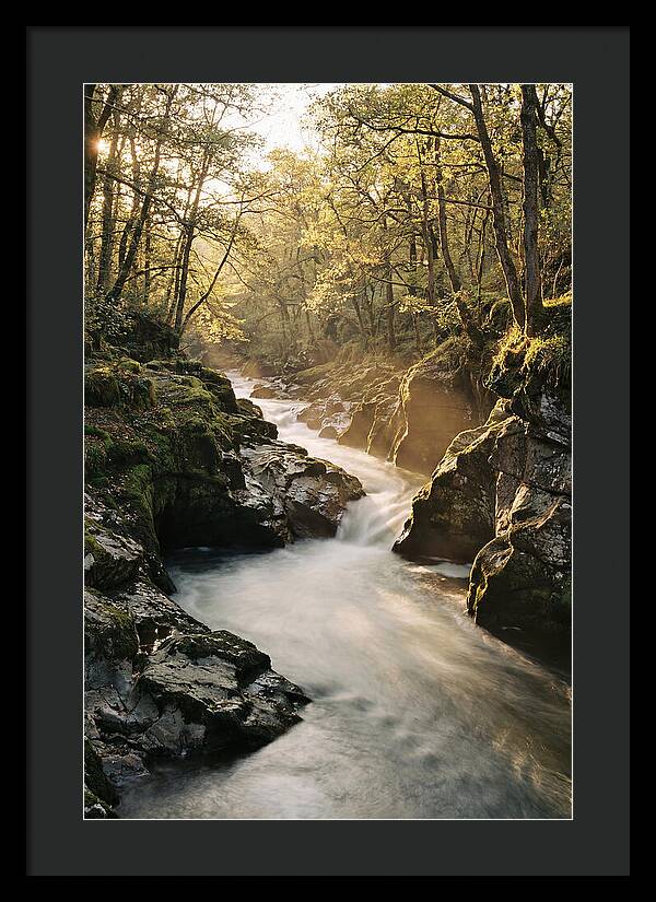 Serenity Of Vintgar Gorge