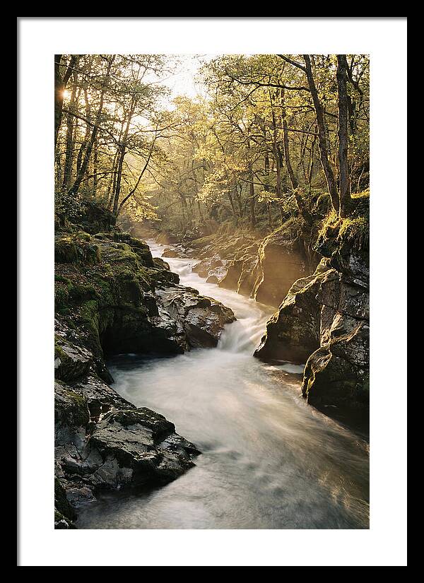Serenity Of Vintgar Gorge