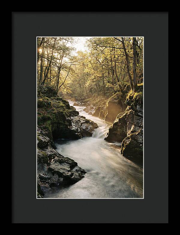 Serenity Of Vintgar Gorge