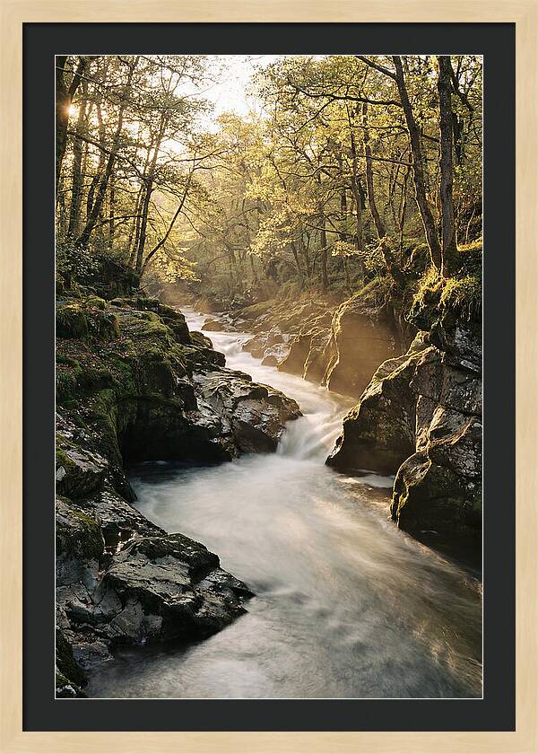 Serenity Of Vintgar Gorge