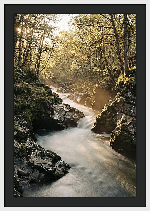 Serenity Of Vintgar Gorge