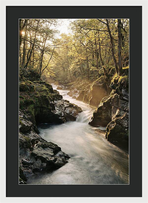 Serenity Of Vintgar Gorge
