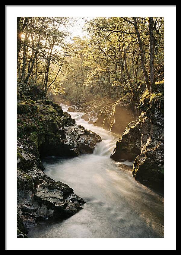 Serenity Of Vintgar Gorge