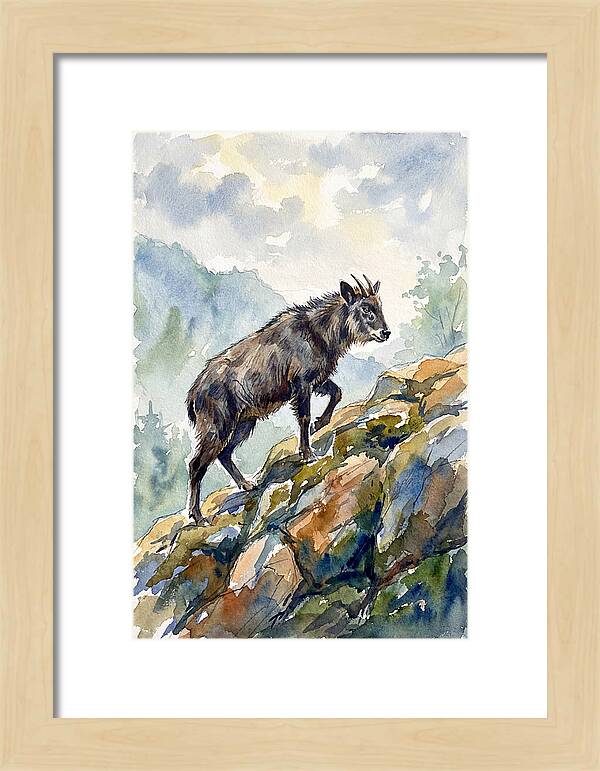 Serow On Rocky Terrain