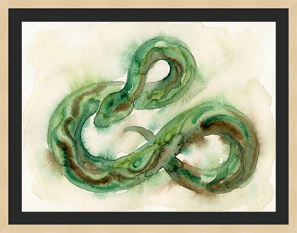 Serpentine Elegance In Watercolor
