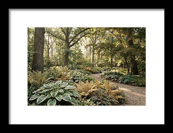 Shade Garden Serenity