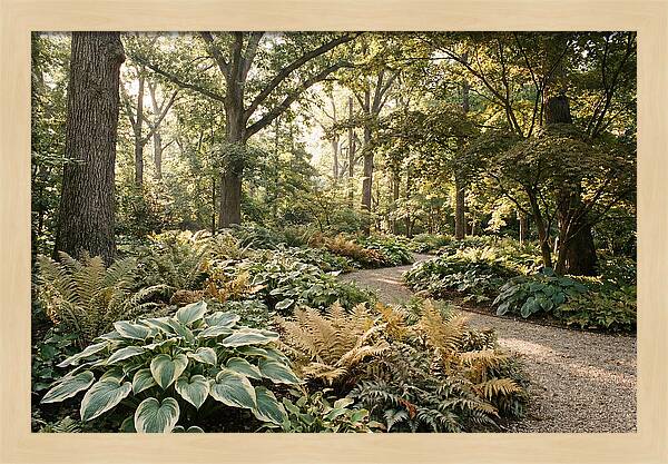 Shade Garden Serenity