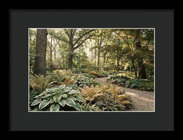 Shade Garden Serenity