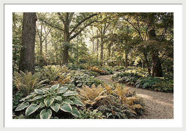 Shade Garden Serenity