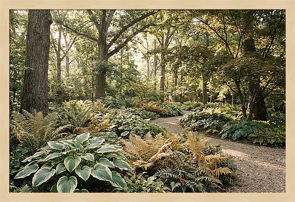 Shade Garden Serenity