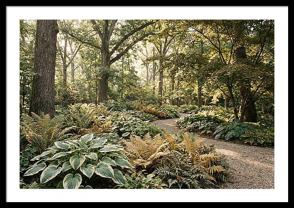 Shade Garden Serenity