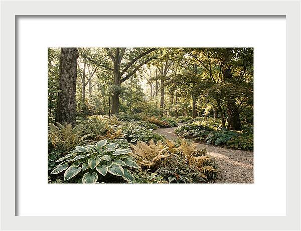 Shade Garden Serenity