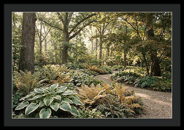 Shade Garden Serenity