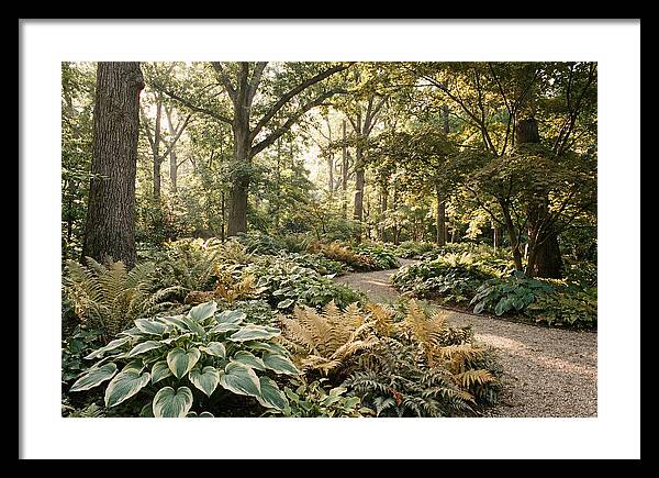Shade Garden Serenity