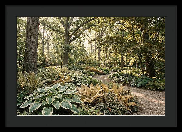 Shade Garden Serenity