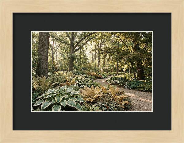 Shade Garden Serenity