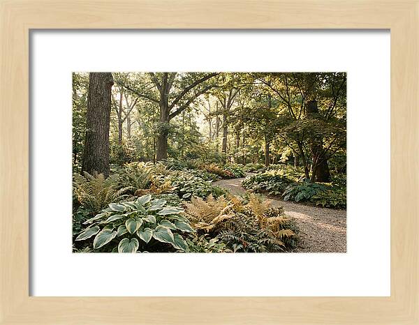 Shade Garden Serenity
