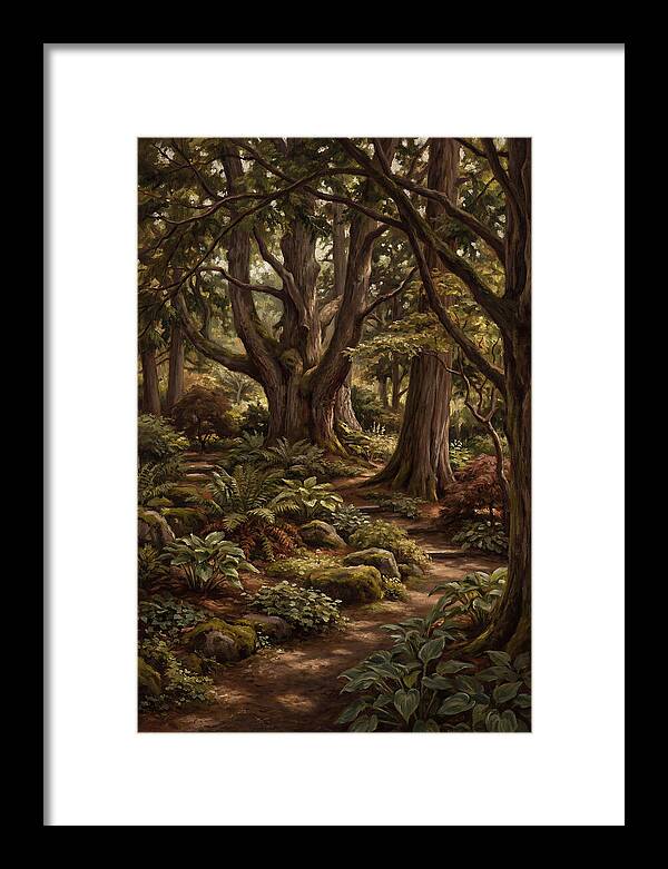 Shade Garden Under Tall Trees