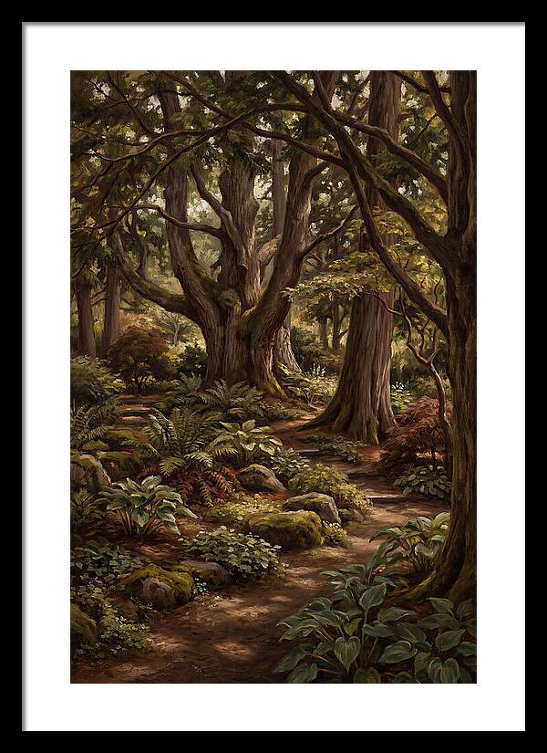Shade Garden Under Tall Trees