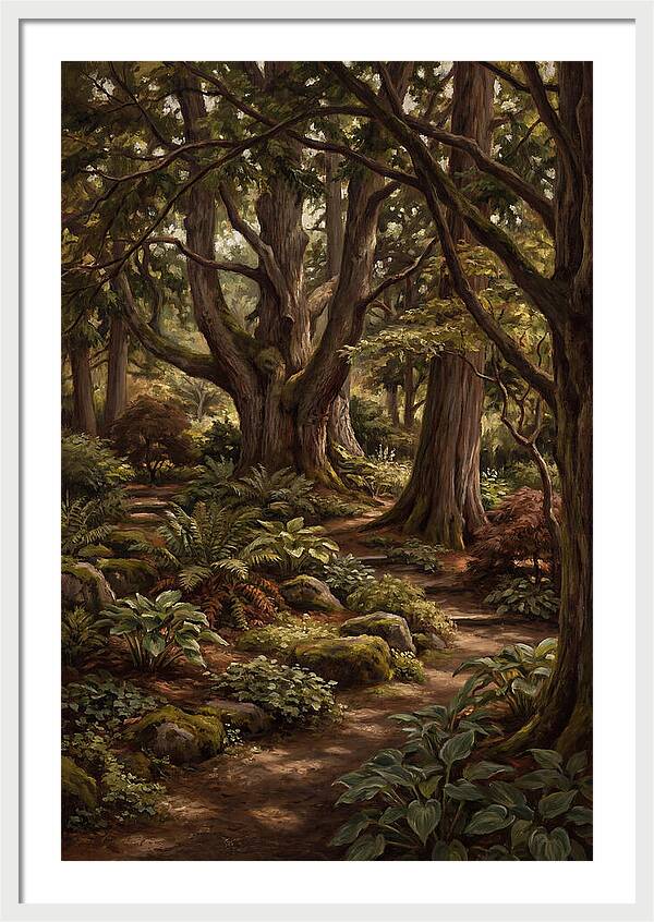 Shade Garden Under Tall Trees