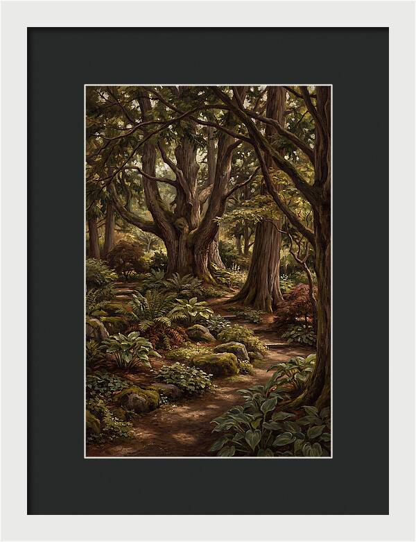 Shade Garden Under Tall Trees