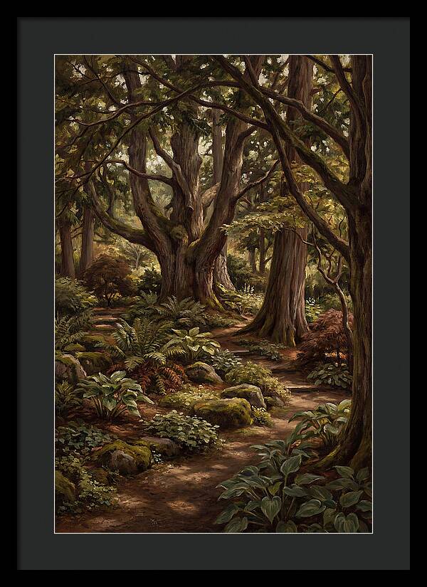 Shade Garden Under Tall Trees