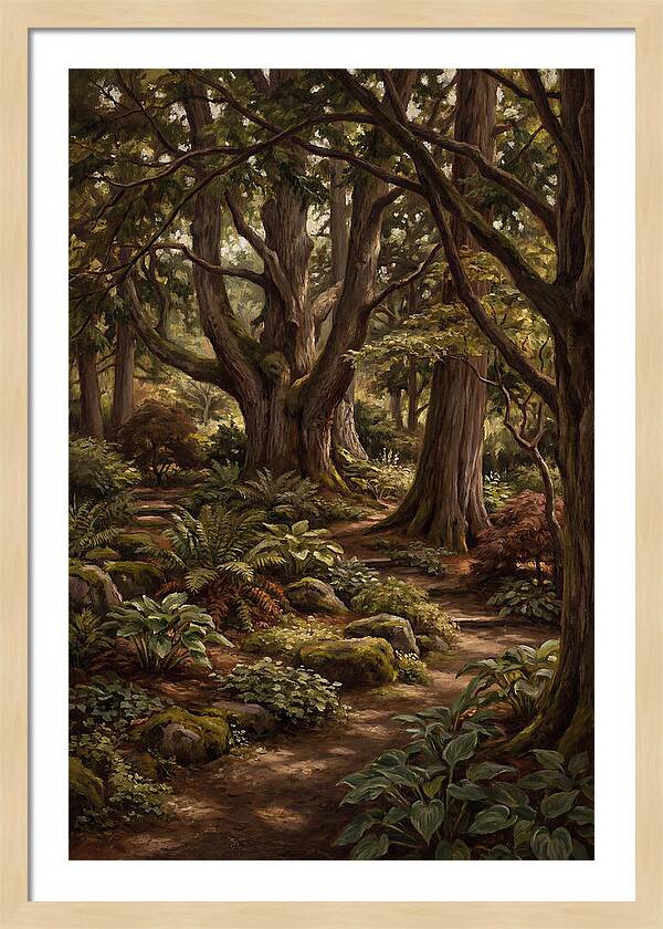 Shade Garden Under Tall Trees