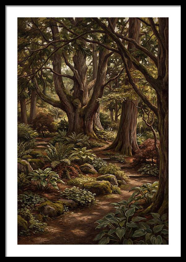 Shade Garden Under Tall Trees