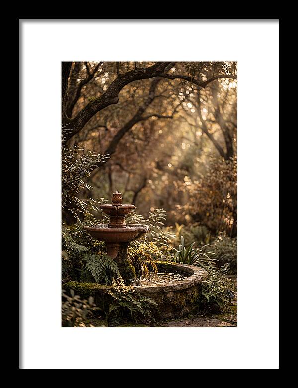 Shaded Serenity Fountain