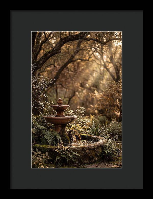 Shaded Serenity Fountain