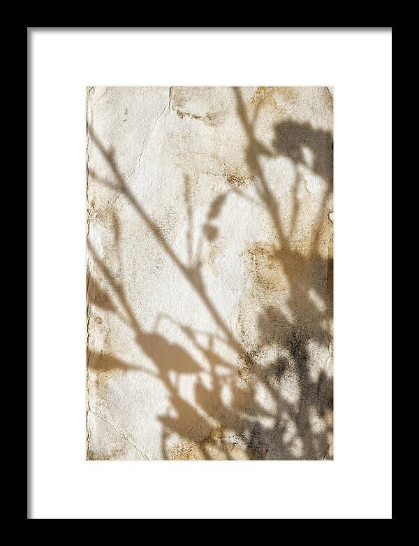 Shadow Play On White