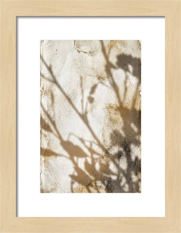 Shadow Play On White