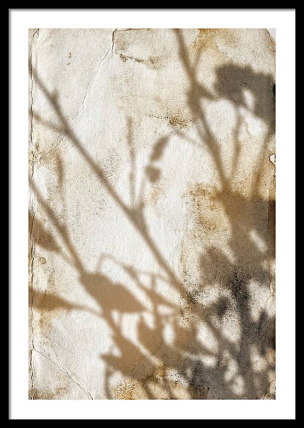 Shadow Play On White