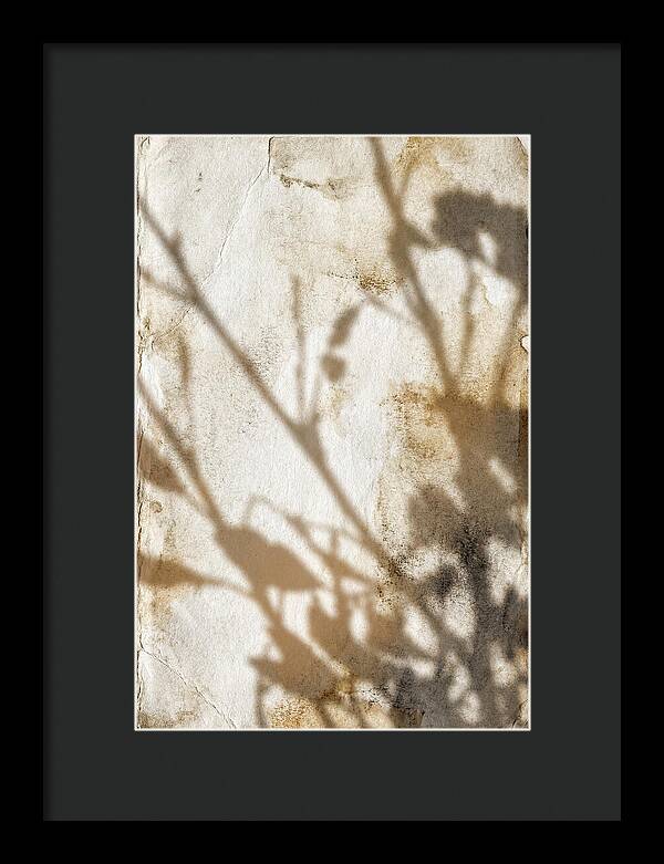 Shadow Play On White