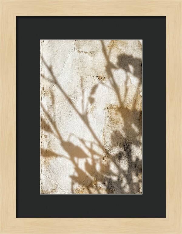 Shadow Play On White