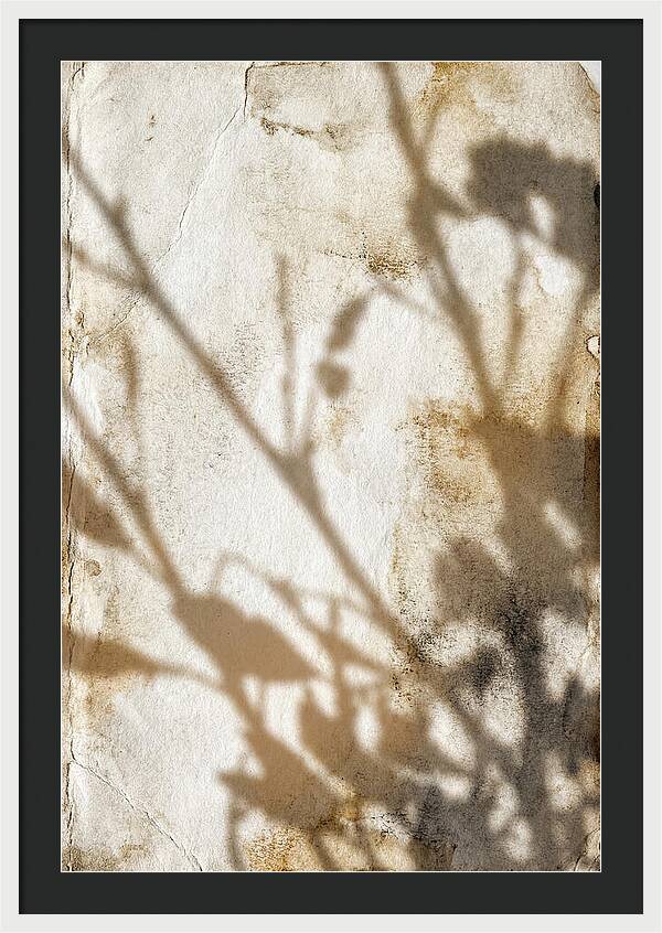 Shadow Play On White