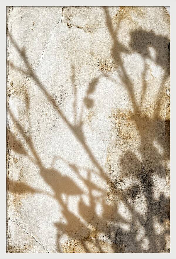 Shadow Play On White